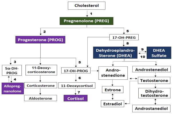 Fig. 1