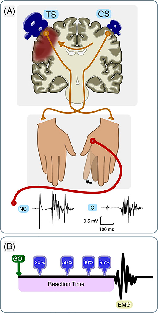 FIGURE 1: