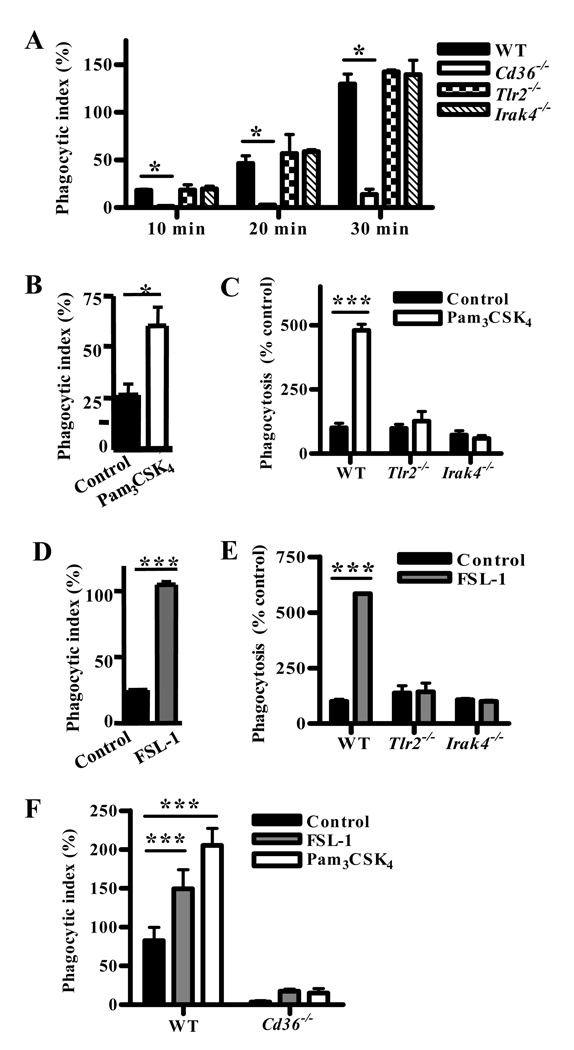 Fig. 4