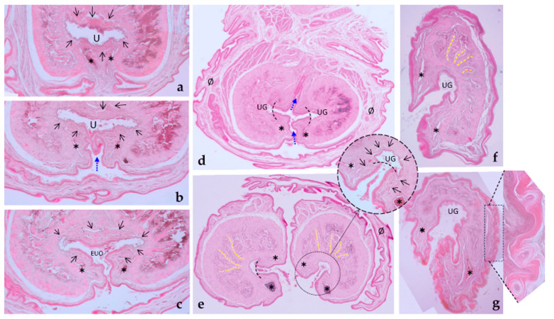 Figure 11