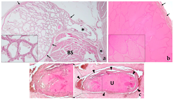 Figure 13