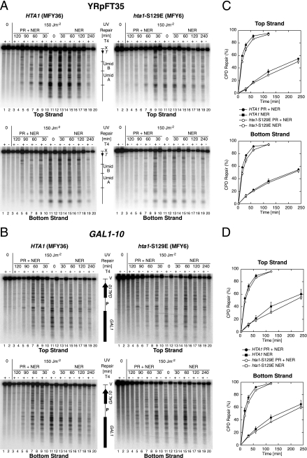 FIG. 6.