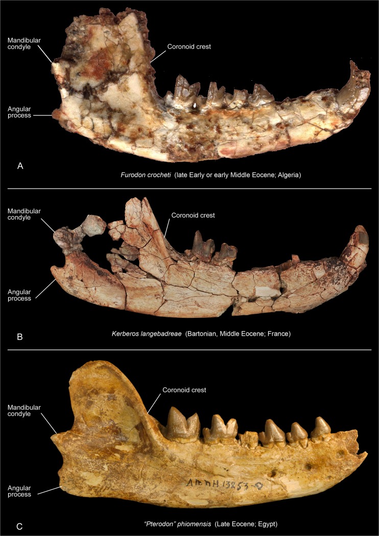 Fig 14