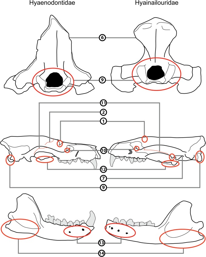 Fig 5