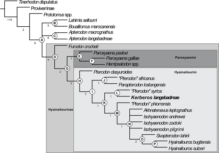 Fig 18