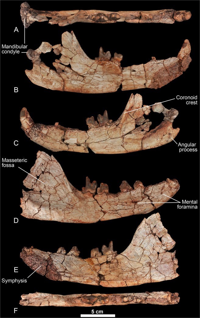 Fig 10