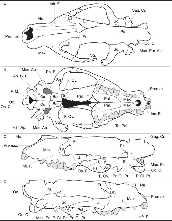 Fig 13