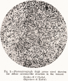 284-1