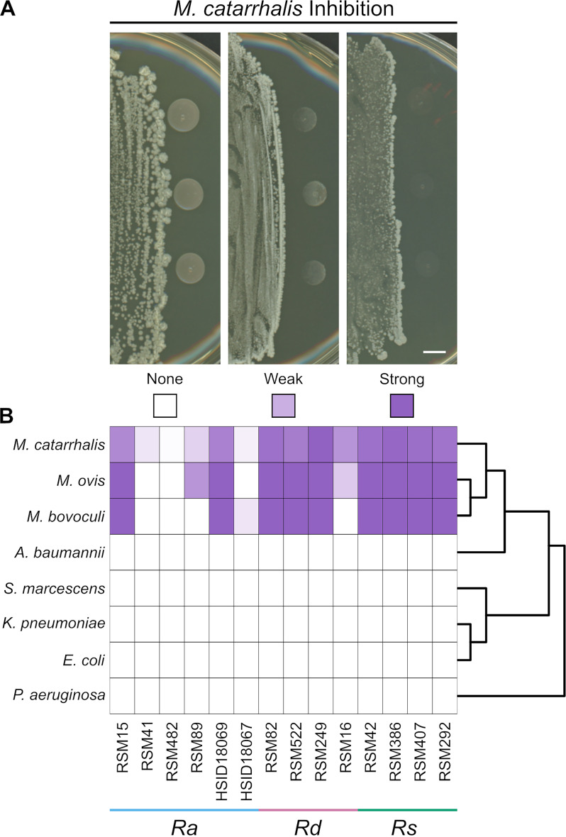 FIG 2