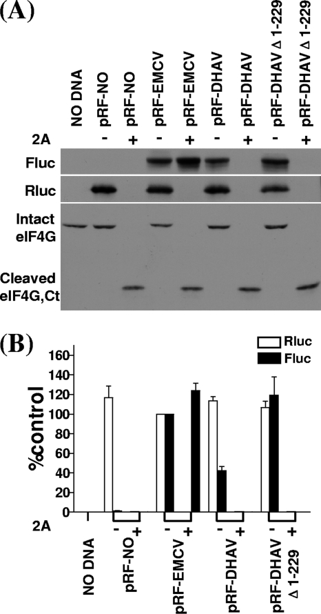 Fig 7