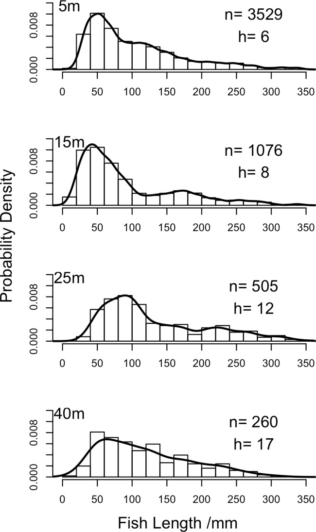 Fig 6