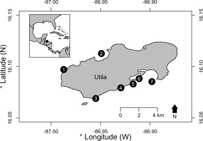 Fig 1