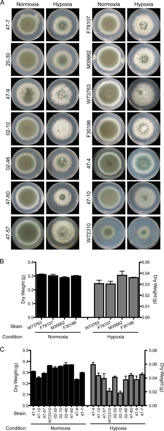 FIG 2 