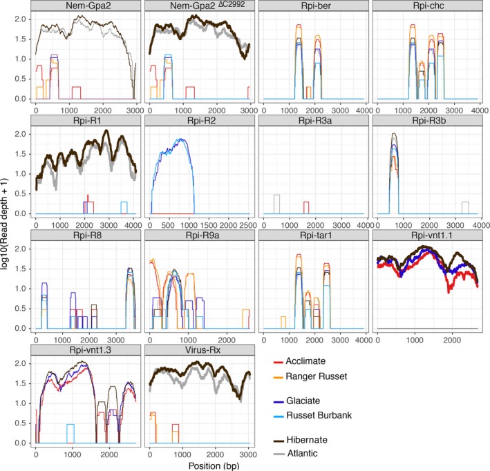 Figure 2