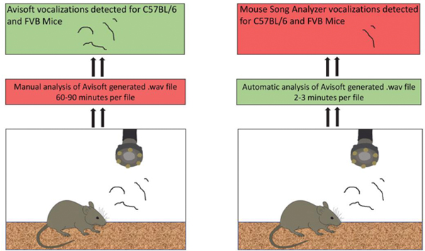 graphic file with name nihms-1625025-f0004.jpg