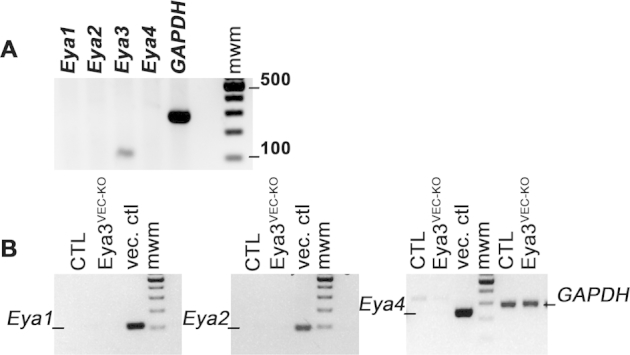 Supplemental Figure S1