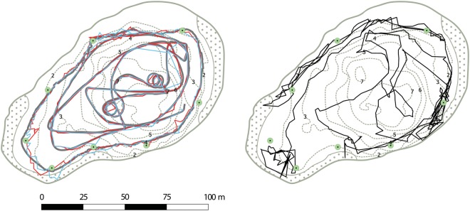 Figure 2: