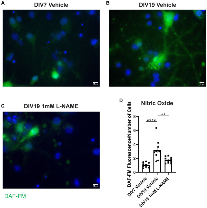 Figure 11