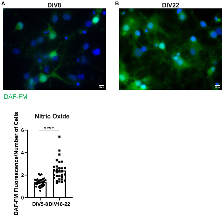 Figure 10