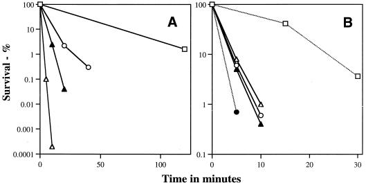 FIG. 6