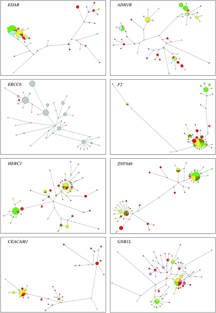 Figure 3.—