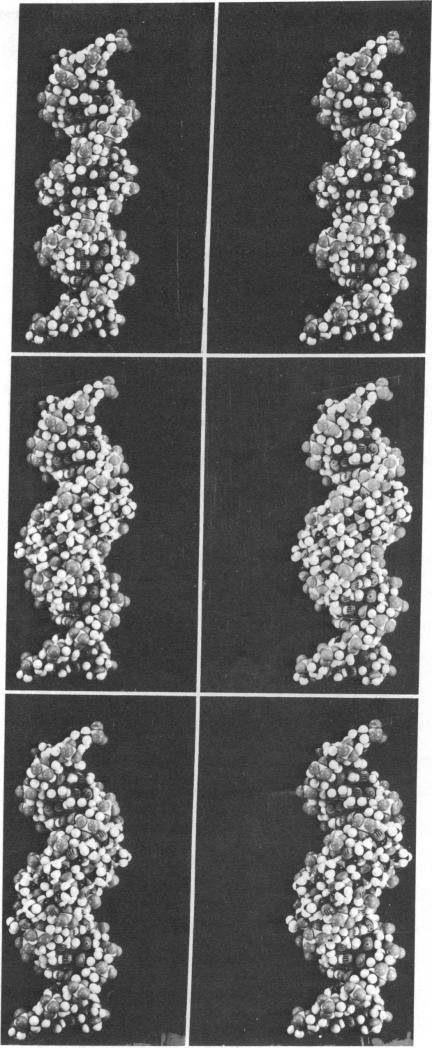 graphic file with name pnas00026-0165-a.jpg