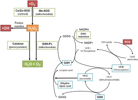 Fig. 3