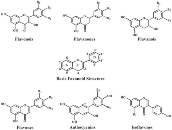 Fig. 10