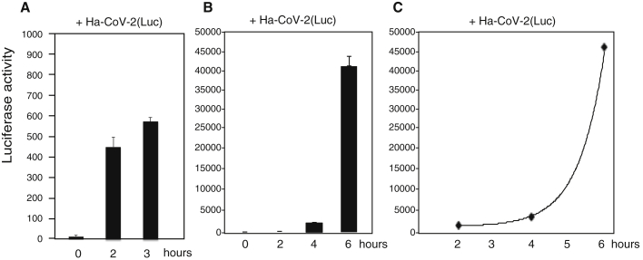 Figure 3