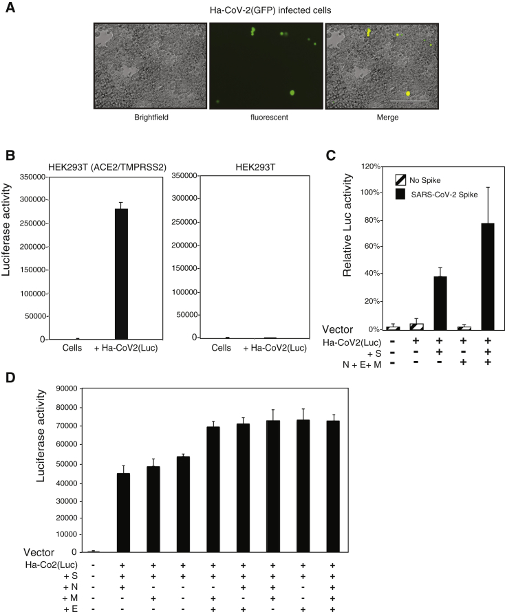 Figure 2