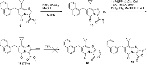 Scheme 1