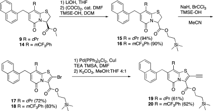 Scheme 2