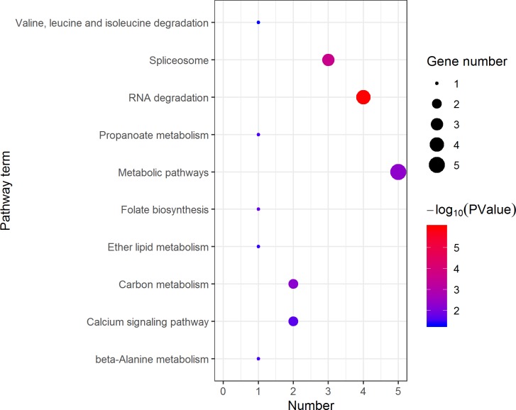 Figure 10