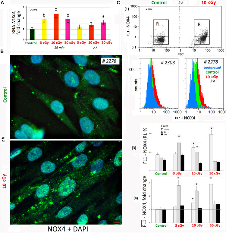 FIGURE 3