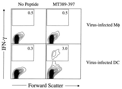 FIG. 6