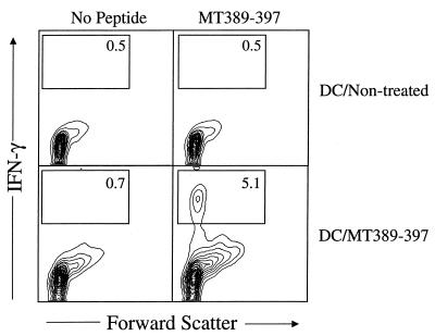 FIG. 5