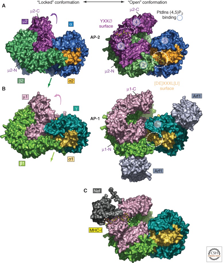 Figure 3.