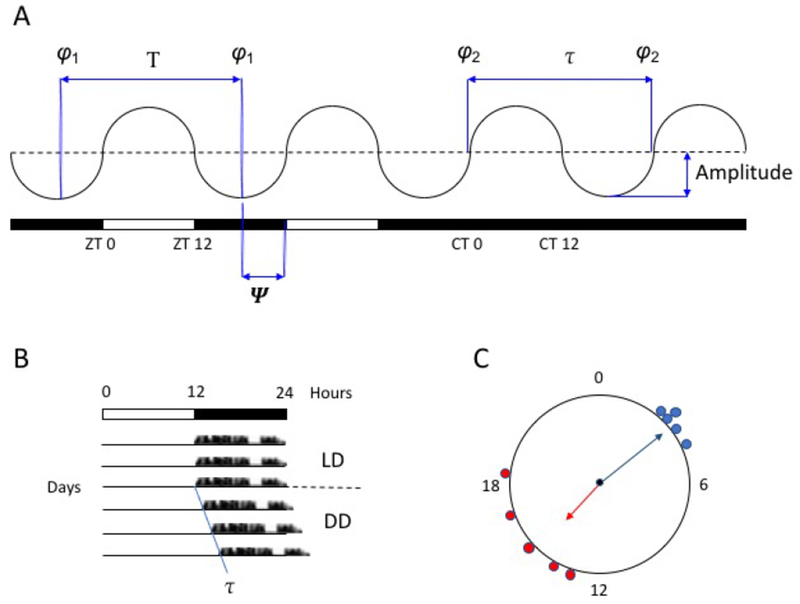 Figure 1.