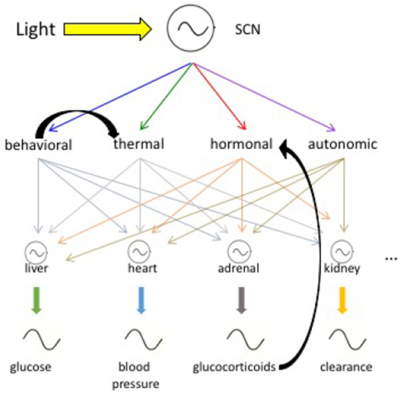 Figure 2.