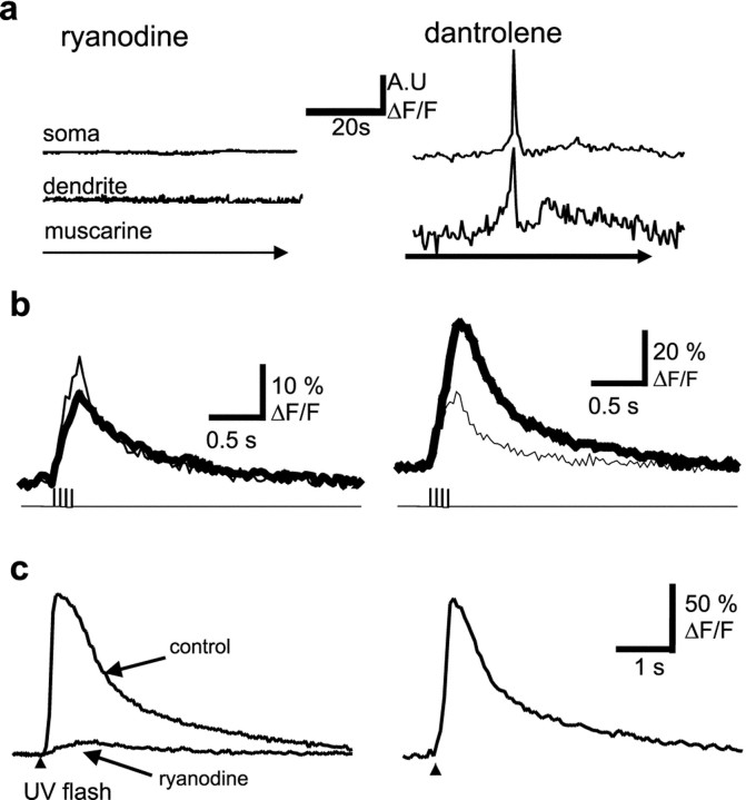 Fig. 9.