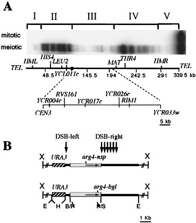 FIG. 1