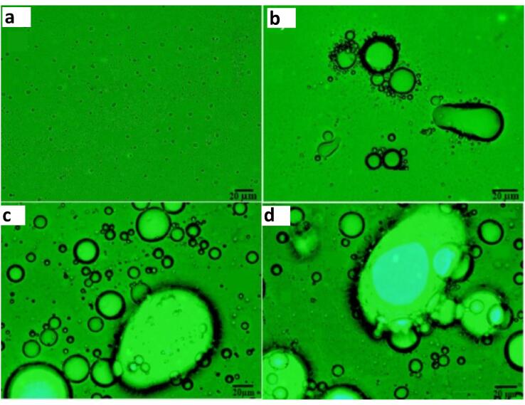 Fig. 13