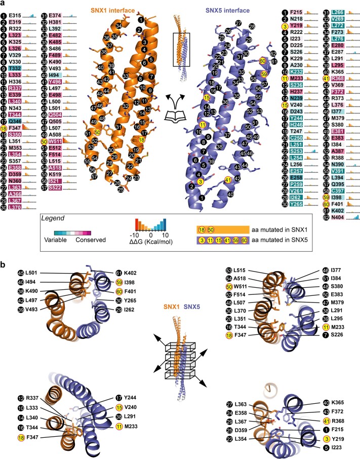 Extended Data Fig. 2