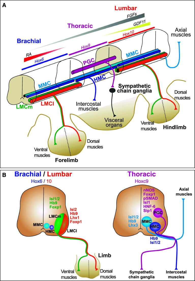 Fig. 1