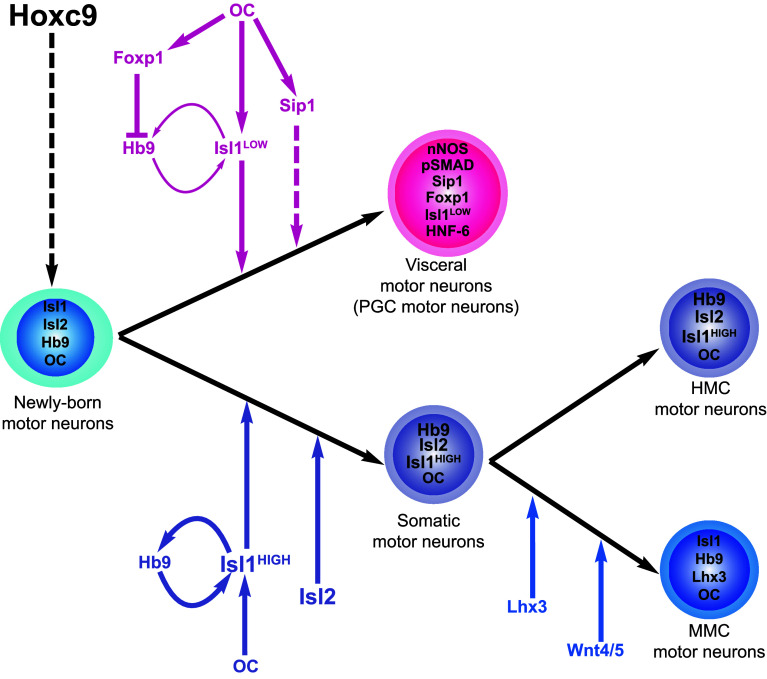 Fig. 3