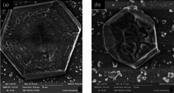 Fig. 6