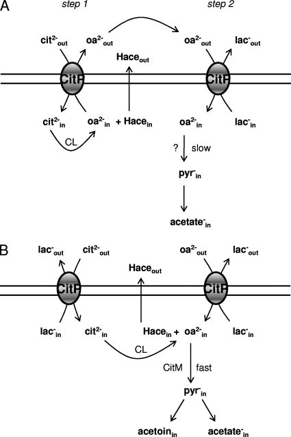 Fig. 7.