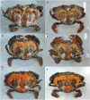 FIGURE 3