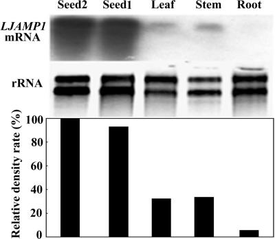 FIG. 5.