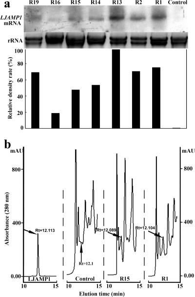 FIG. 6.